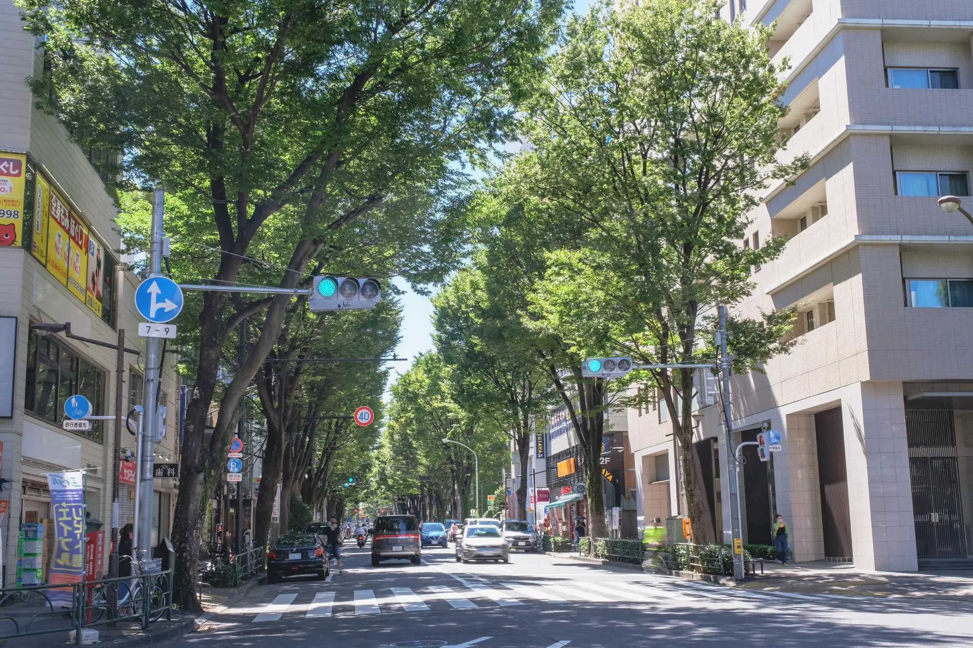 杉並区で注文住宅を建てる際の費用相場と人気エリアの特徴