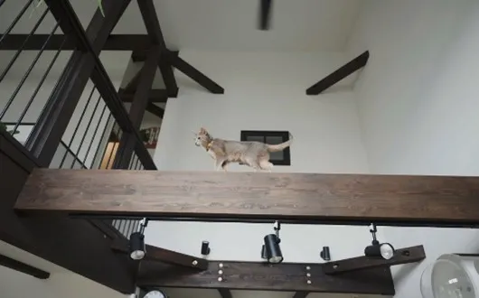 念願だったという梁が空間のアクセントに