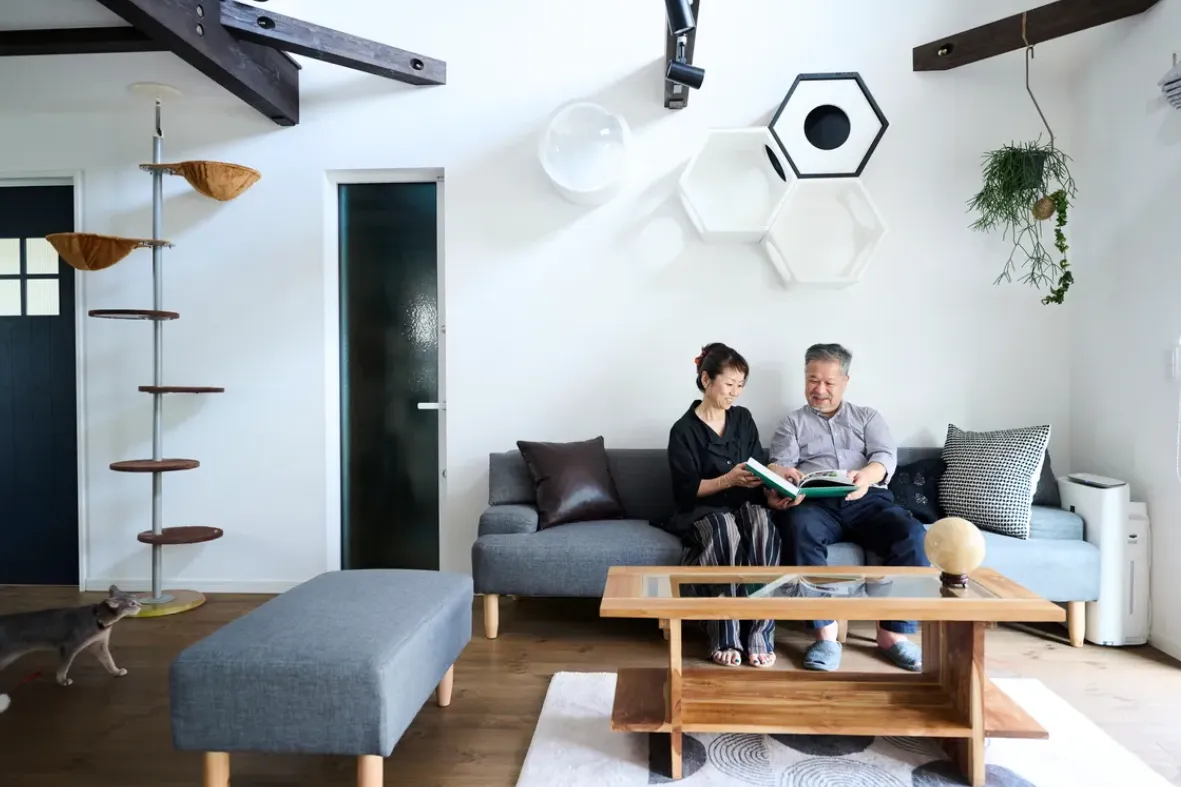 ３匹の猫と快適に暮らす、梁のある家