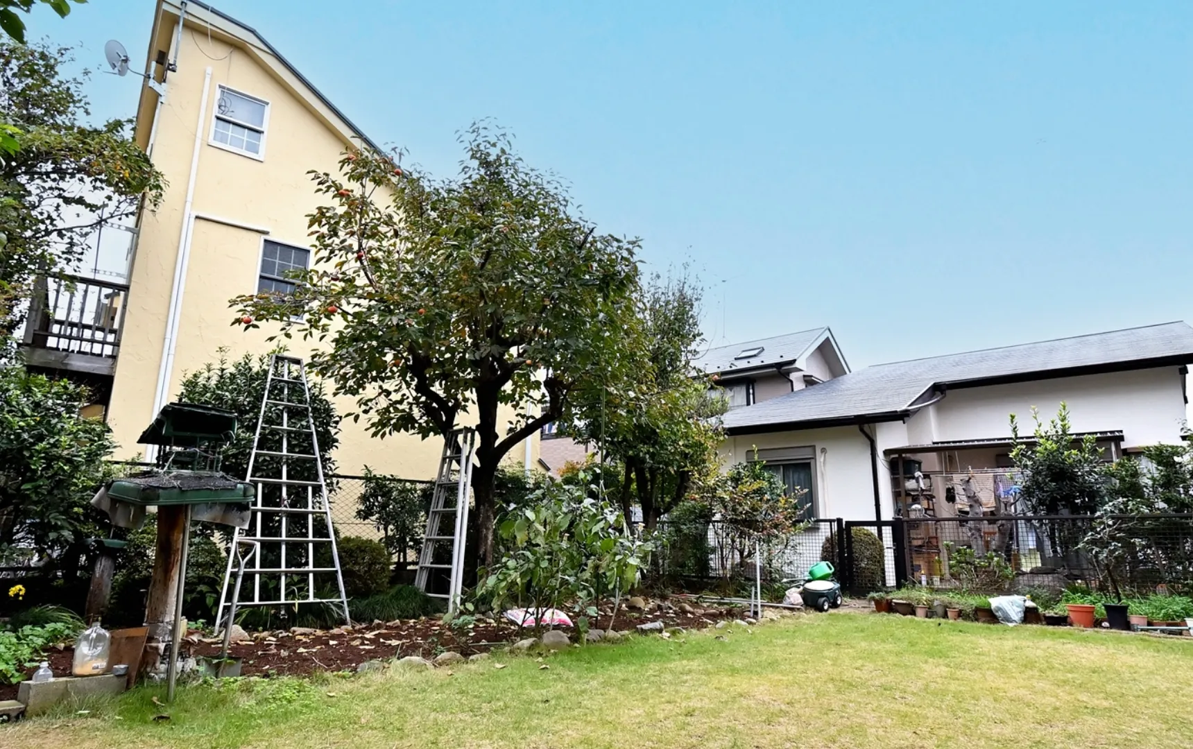 1階リビングから眺める庭