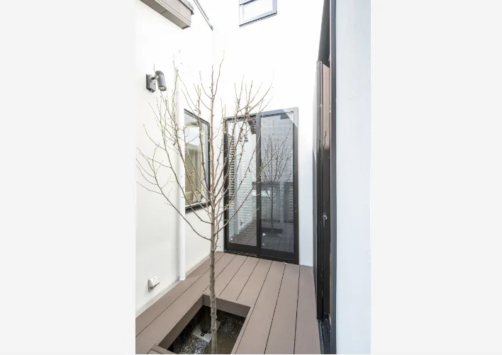 木陰で猫と日だまりを