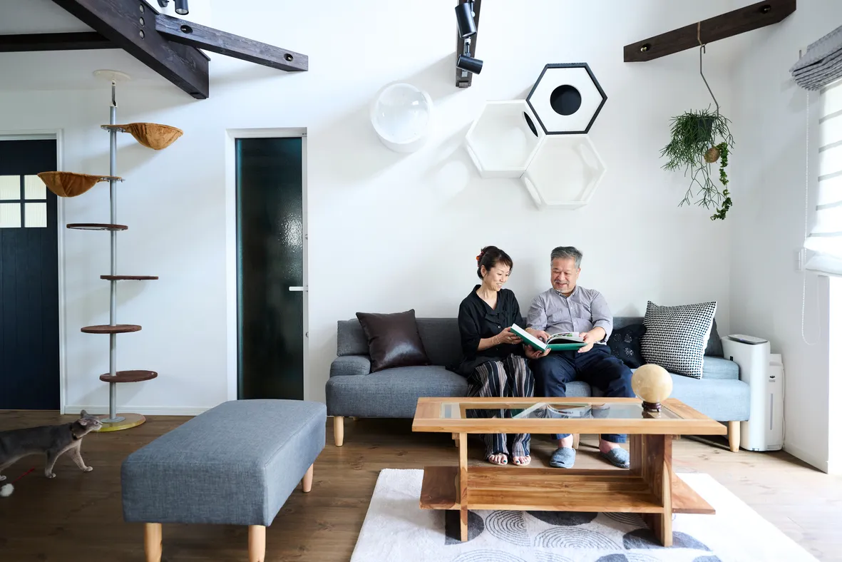 3匹の猫と快適に暮らす、梁のある家 - 1