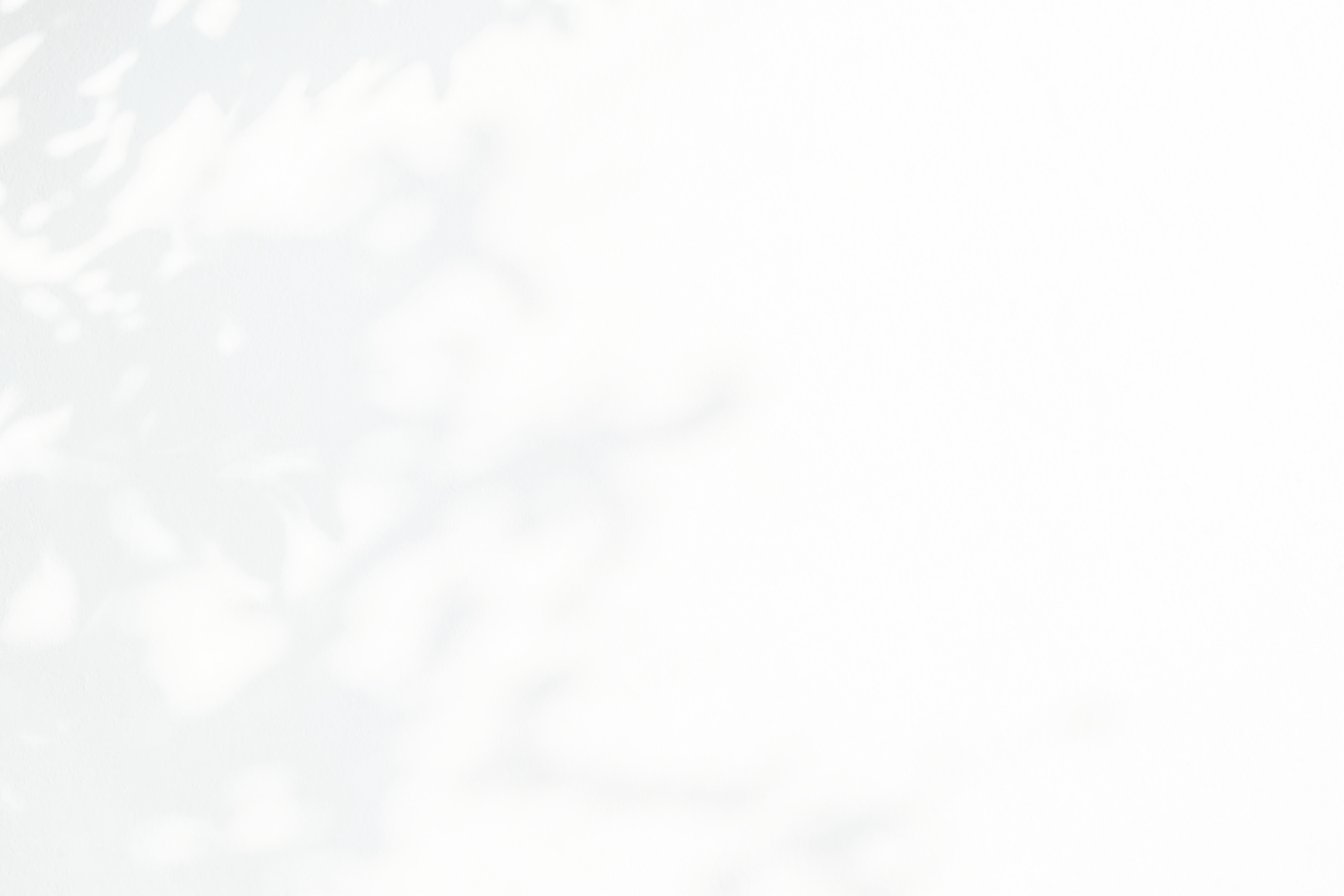 背景画像